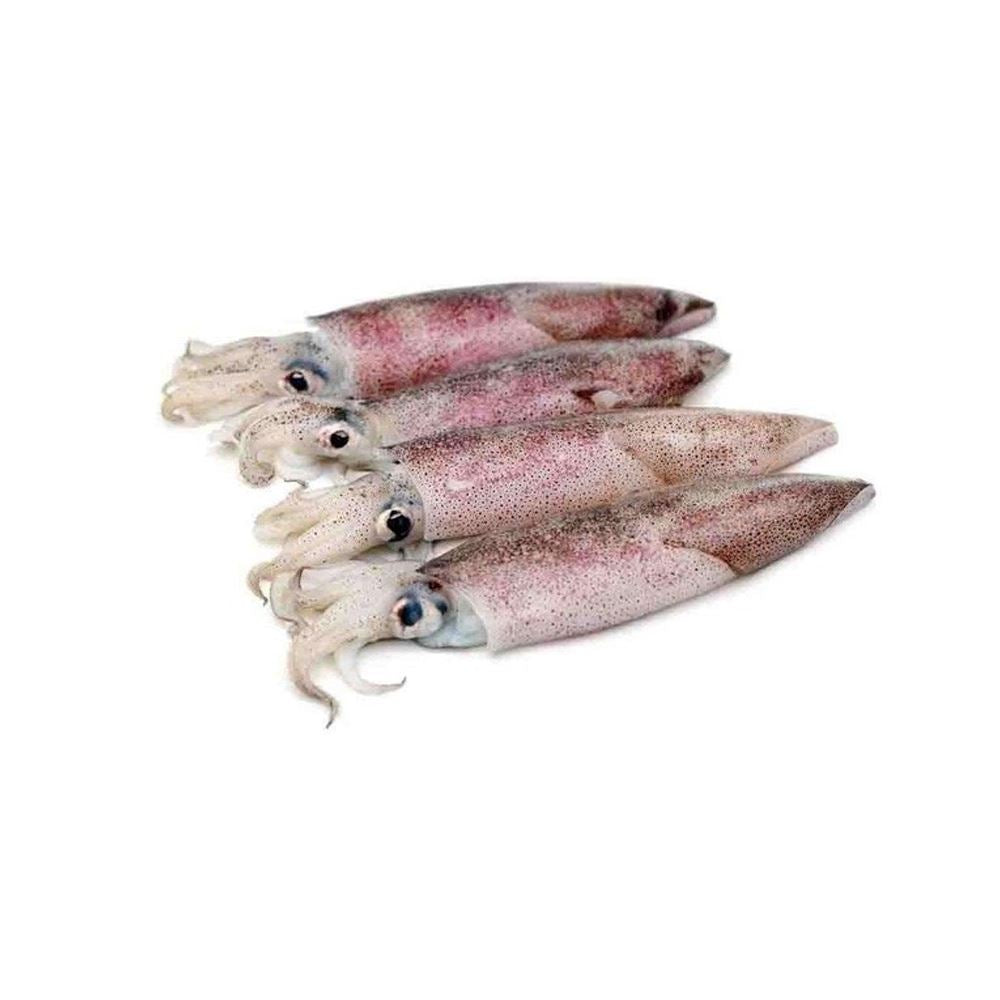 Frozen American Squid 1kg