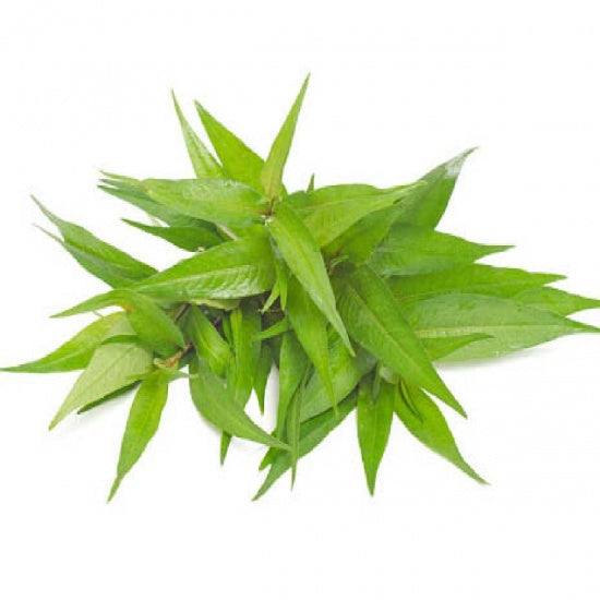 Vietnamese Coriander (1 bag)