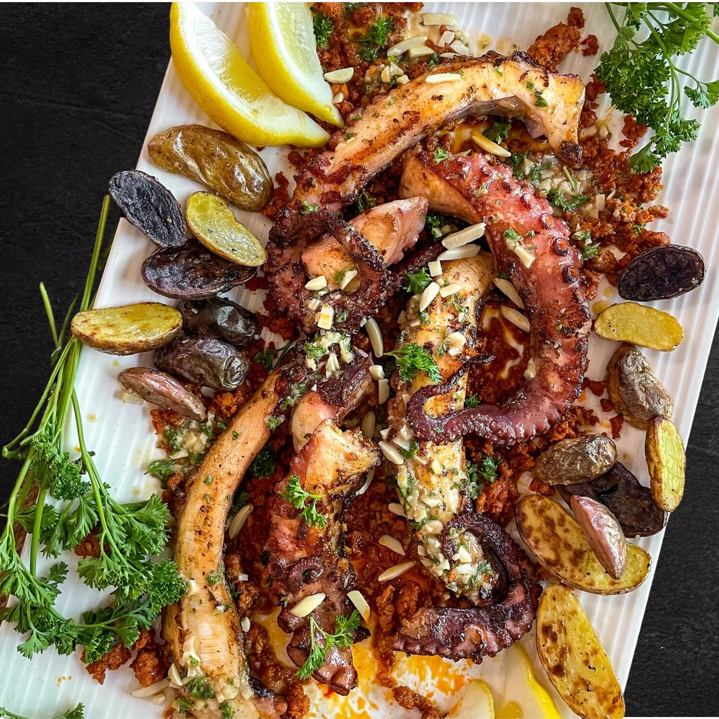 Octopus Grilled