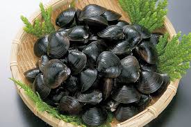 Fresh Black Clams (1kg)