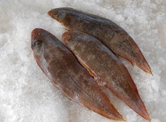 Fresh Buffalo Tongue Sole (1 piece)