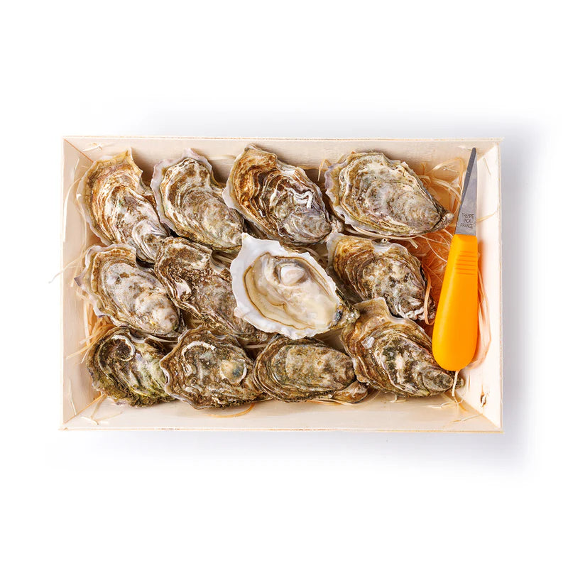 Fresh Oysters 12pcs (1 Box)