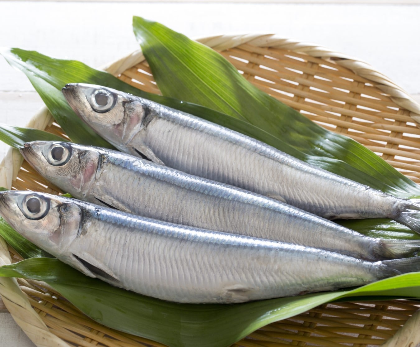 Fresh Herring (1kg)