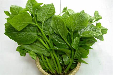 Spinach (one bunch)