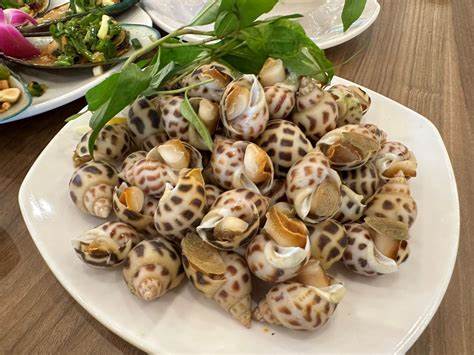 Vietnamese Spotted Babylon Snails 1kg (Frozen)