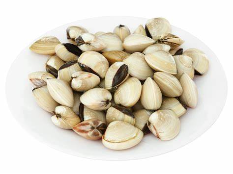 Whole Clams 1kg (Frozen)