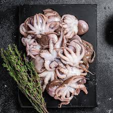 Fresh Small Octopus (1kg)