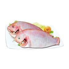 Frozen Red Tilapia (1kg)