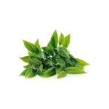 Fresh Tea Leaves (1 bag)