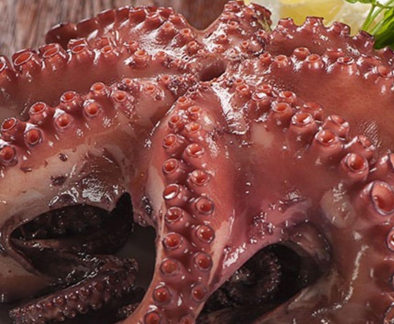 Whole Fresh Octopus ~1kg (1 Octopus)