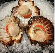 Fresh Scallop 1kg